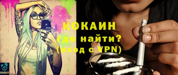 индика Алексеевка