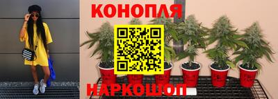 ПСИЛОЦИБИНОВЫЕ ГРИБЫ Заволжье