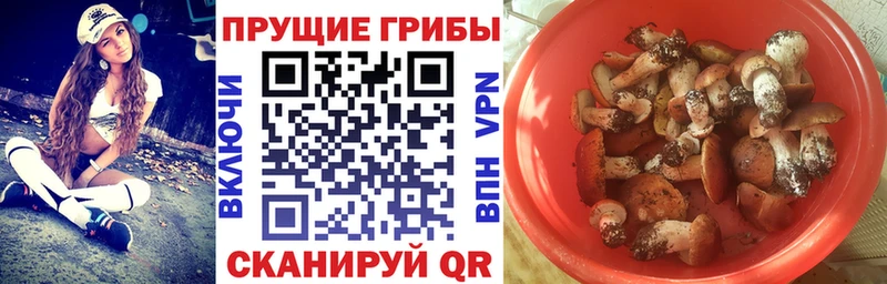 Псилоцибиновые грибы MAGIC MUSHROOMS  Южно-Сахалинск 