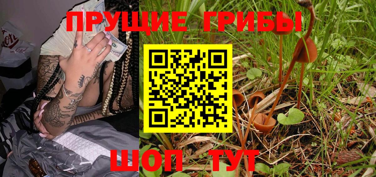 Галлюциногенные грибы Psilocybe Южно-Сахалинск